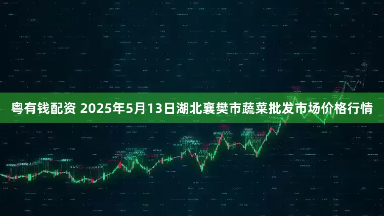 粤有钱配资 2025年5月13日湖北襄樊市蔬菜批发市场价格行情